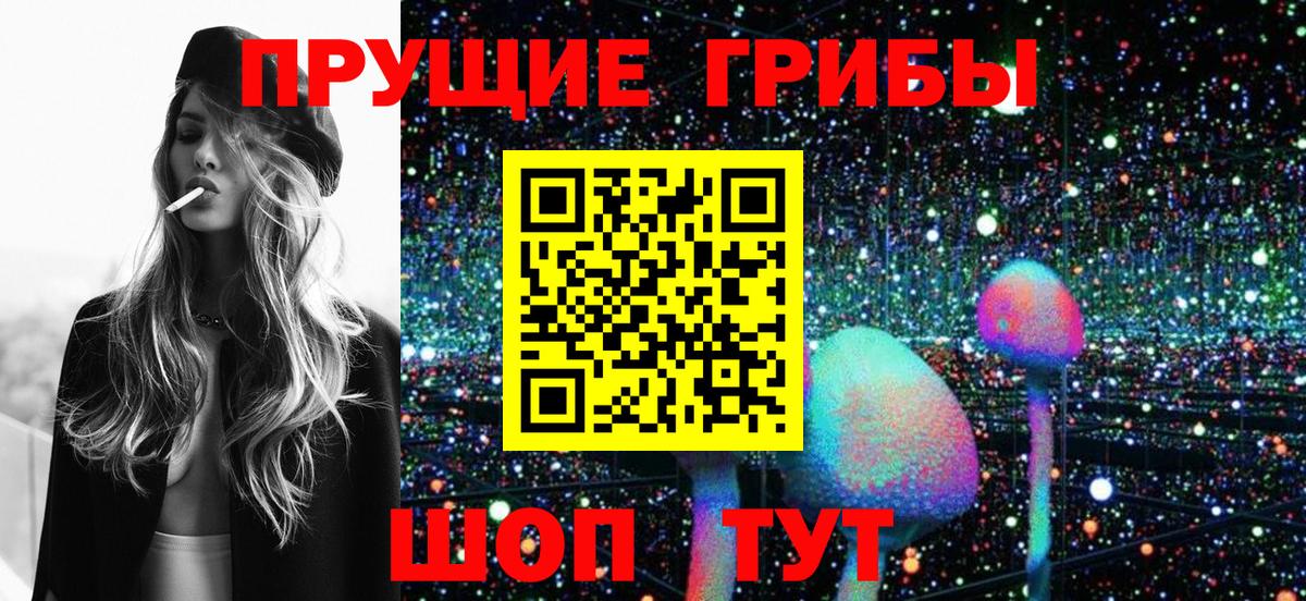 Брянск  Галлюциногенные грибы мухоморы  Вход с VPN  Псилоцибиновые грибы прущие грибы 